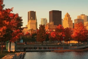 Il meglio di Montréal: Tour privato a piedi con un abitante del posto