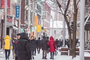 Montreal: Beyond the Basilica Non-Touristy Walking Tour