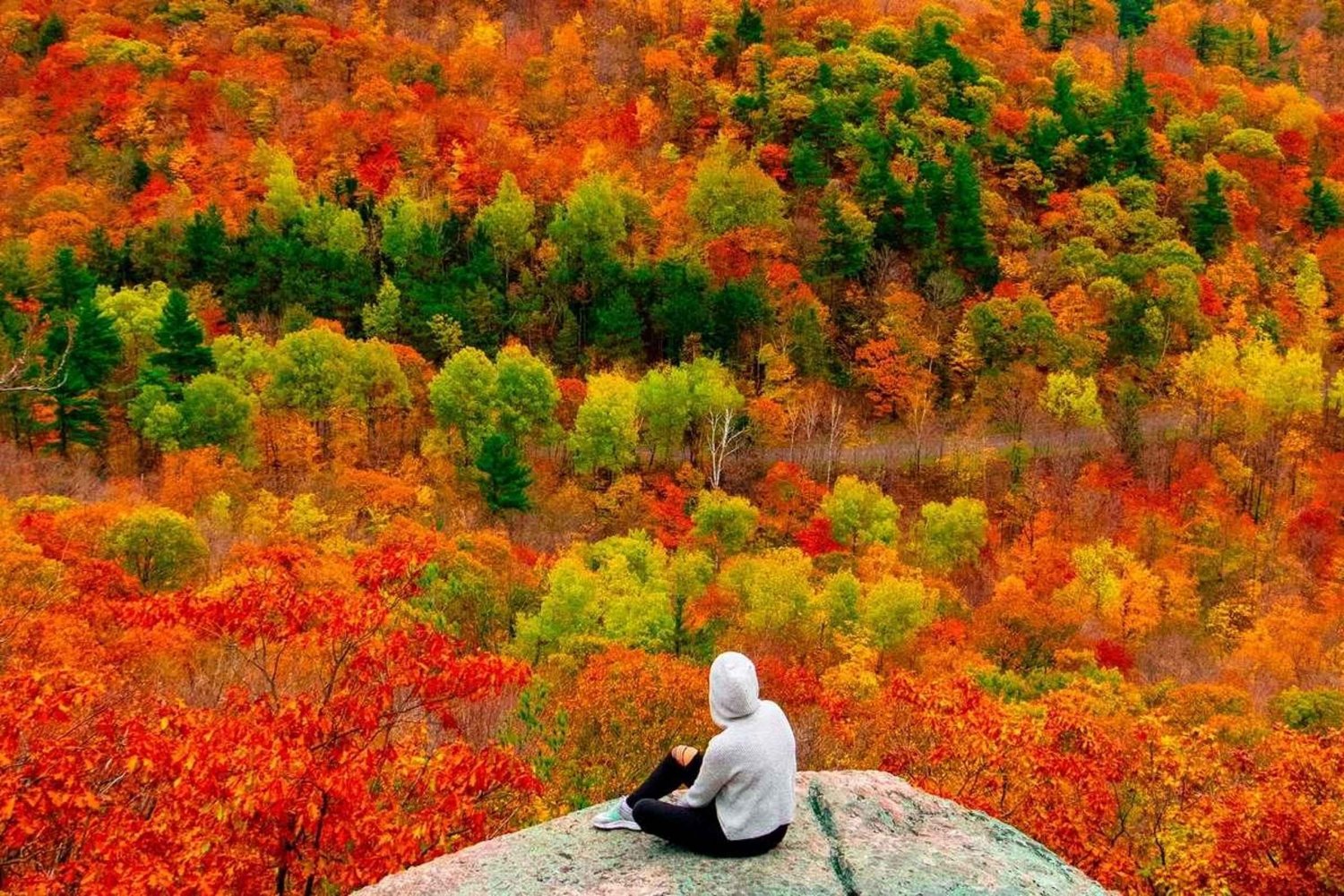 Montreal: Guided tour of the Laurentides Mont Tremblant