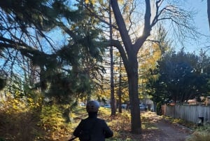 Explore Old-Montreal with easy to use e-scooters