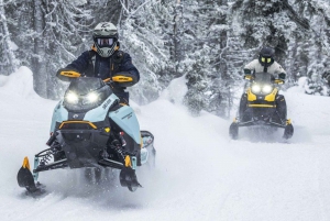 Montreal: Canadian Forest Guided Tour by Snowmobile