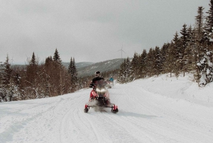 Montreal: Canadian Forest Guided Tour by Snowmobile