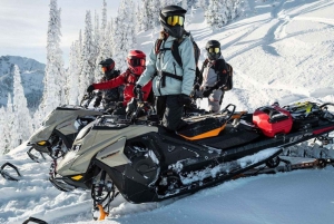 Montreal: Canadian Forest Guided Tour by Snowmobile