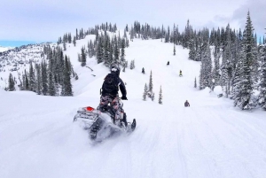 Montreal: Canadian Forest Guided Tour by Snowmobile