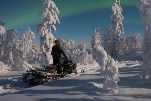 Montreal: Canadian Forest Guided Tour by Snowmobile