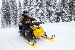 Montreal: Canadian Forest Guided Tour by Snowmobile