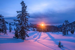 Montreal: Canadian Forest Guided Tour by Snowmobile