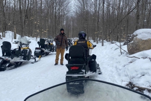 Montreal: Canadian Forest Guided Tour by Snowmobile