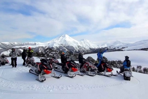 Montreal: Canadian Forest Guided Tour by Snowmobile