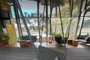 Tutustu maanalaiseen kaupunkiin ja keskustaan. Suuri kiertue pysyä lämpimänä