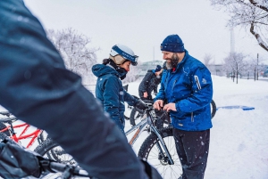 Fatbike rental - Au Canal-de-Lachine