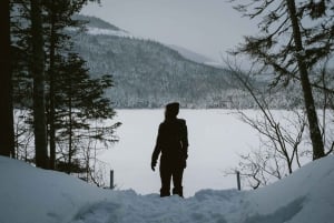 Da Montreal: Escursione con le racchette da neve nel Parco Nazionale di Mont-Saint-Bruno