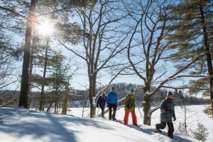From Montreal: Mont-Saint-Bruno National Park Snowshoe Hike