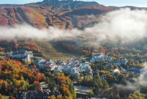 From Montréal: Mont-Tremblant 1-Day Tour