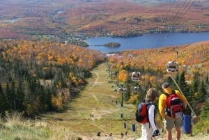 From Montréal: Mont-Tremblant 1-Day Tour