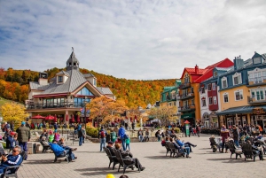 From Montréal: Mont-Tremblant 1-Day Tour