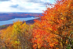 From Montréal: Mont-Tremblant 1-Day Tour
