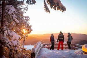 From Montreal: Mont-Tremblant National Park Hiking Day Trip