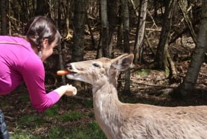 From Montreal: Omega Park Wildlife Safari Calling Sounds