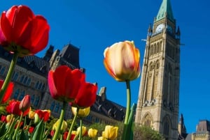 From Montreal: Private Ottawa Full Day Tour