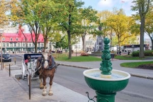 De Montreal: Viagem de 1 dia à cidade do Quebeque e às Cataratas de Montmorency