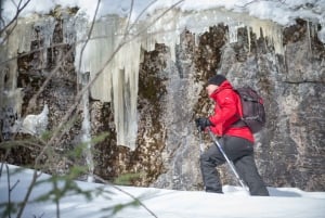 Von Montreal: Sept-Chutes Regional Park Wandern und Schwimmen