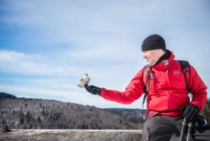 Von Montreal: Sept-Chutes Regional Park Wandern und Schwimmen