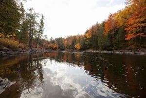 Montrealista: Treetop Trek, köysirata + ranta tai vesiputous.