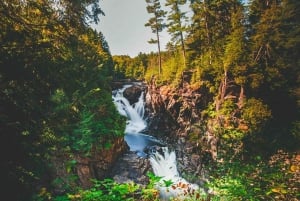 Montrealista: Treetop Trek, köysirata + ranta tai vesiputous.