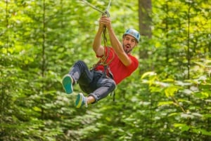 Montrealista: Treetop Trek, köysirata + ranta tai vesiputous.
