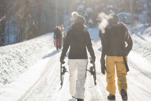 From Montreal: Zip-Lining and Snowshoeing Mountain Day Trip