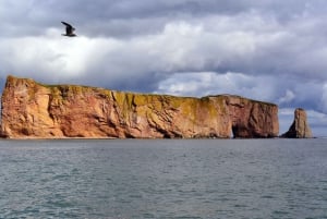 Gaspe 3-dagarsutflykt från Montreal
