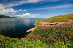 Gaspe 3-dagarsutflykt från Montreal