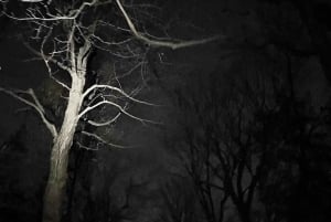 Visite sur les fantômes de la montagne hantée