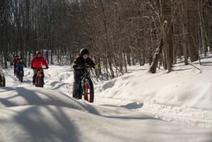 Îles-de-Boucherville: Park Entry with Fat-bike Rental