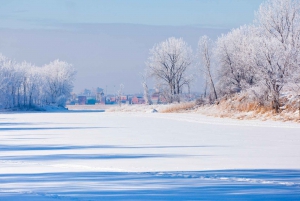 Îles-de-Boucherville: Park Entry with Fat-bike Rental