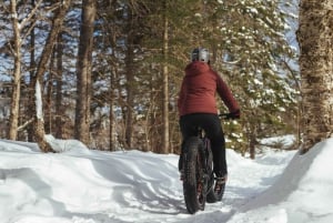 Îles-de-Boucherville: Park Entry with Fat-bike Rental