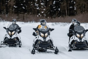 Laurentian Mountains: Guided Snowmobile Experience