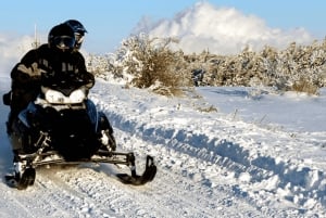 Laurentian Mountains: Guided Snowmobile Experience