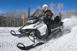 Laurentian Mountains: Guided Snowmobile Experience