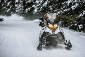 Laurentian Mountains: Guided Snowmobile Experience