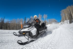 Laurentian Mountains: Guided Snowmobile Experience