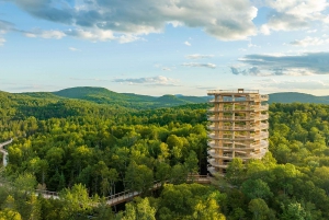 Mont-Tremblant: Laurentians Treetop Observatory and Walk