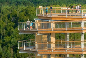 Mont-Tremblant: Laurentians Treetop Observatory and Walk