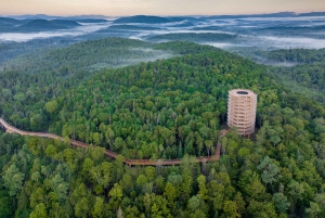 Mont-Tremblant: Laurentians Treetop Observatory and Walk