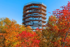 Mont-Tremblant: Laurentians Treetop Observatory and Walk