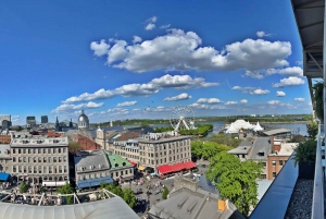 Montreal 3-Hour Private Car Tour with Expert Local Guide