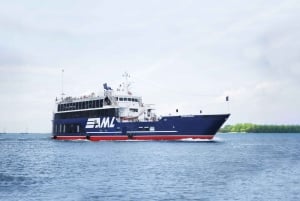 Montréal: Crociera con cena a 3 o 5 portate con DJ e ballo