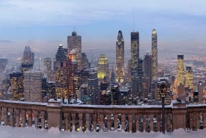 Montreal: Paseo en bicicleta eléctrica de ruedas gordas por Mount Royal