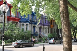 Montreal: Full-Day Small Group City Tour